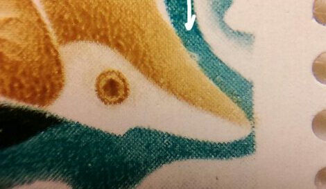 Screenshot_2018-05-06-20-58-21_1_1.jpg