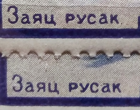 IMG_20190109_190805.jpg
