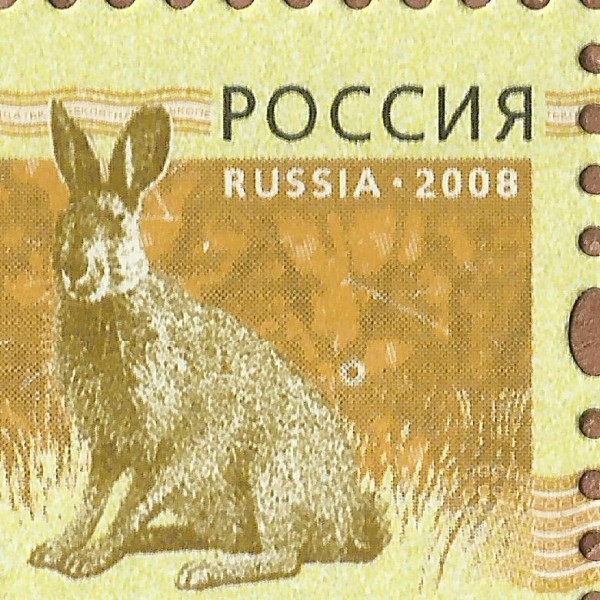 0,15 рубля 2008 15 34+.jpg