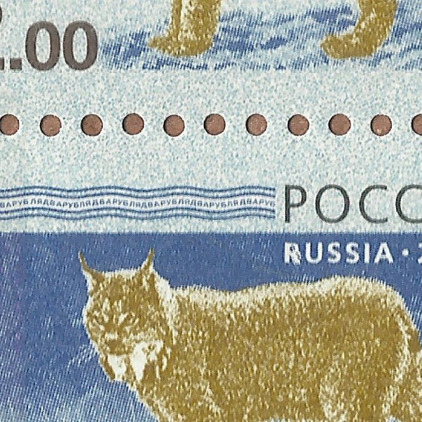 2 рубля 2008 1 68 слон+.jpg