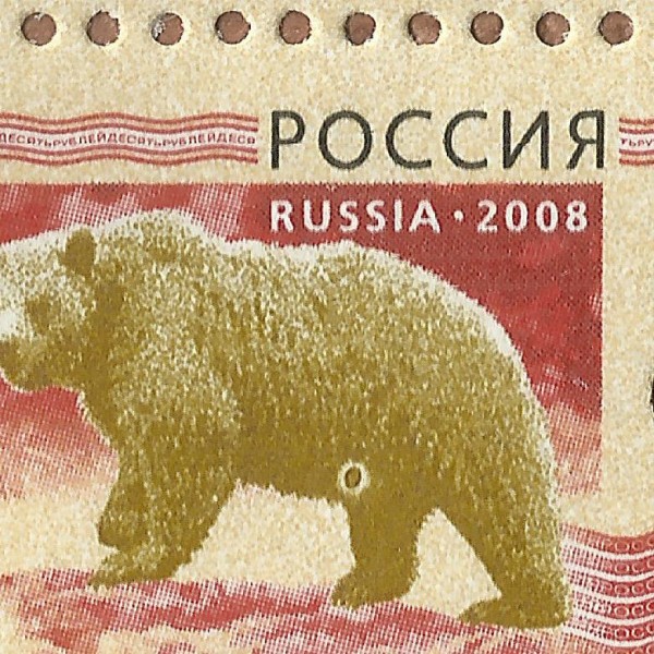 2008 2010 Звери Медведь 3 11+.jpg