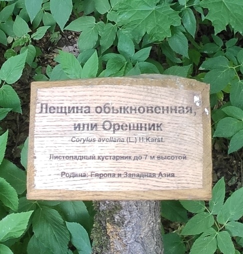 IMG_20250605_112038.jpg