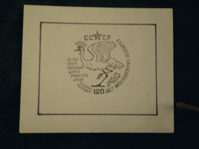 P3290008.gif