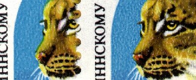 Правый глаз с &amp;quot;бельмом&amp;quot;