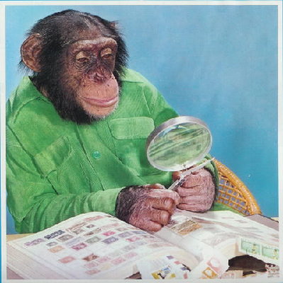 MONKEY..jpg